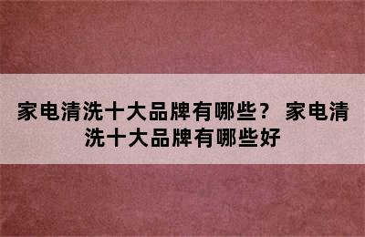 家电清洗十大品牌有哪些？ 家电清洗十大品牌有哪些好